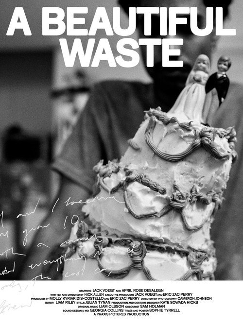 Póster de A Beautiful Waste