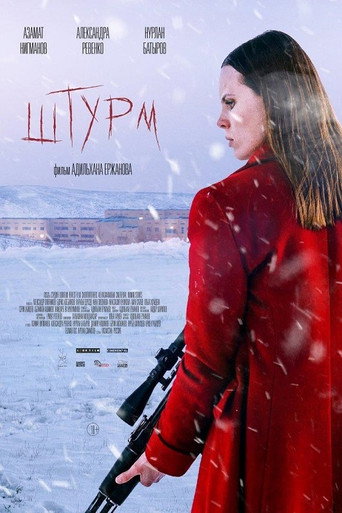 Póster de Штурм