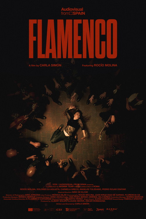 Póster de Flamenco