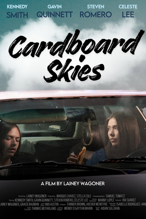 Póster de Cardboard Skies