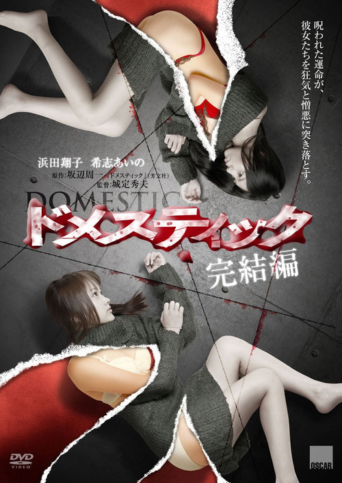 Póster de ドメスティック 完結編