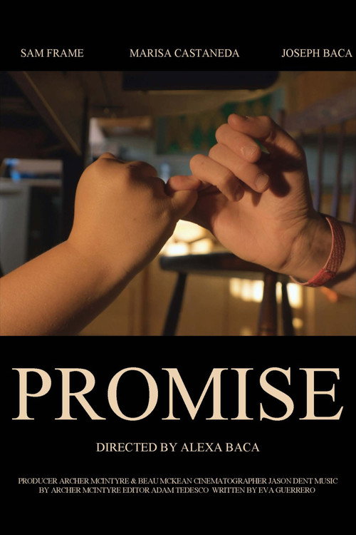Póster de Promise