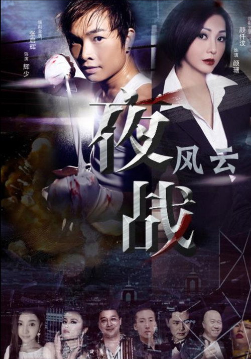 Póster de 夜战风云