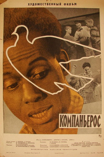 Póster de Fellows