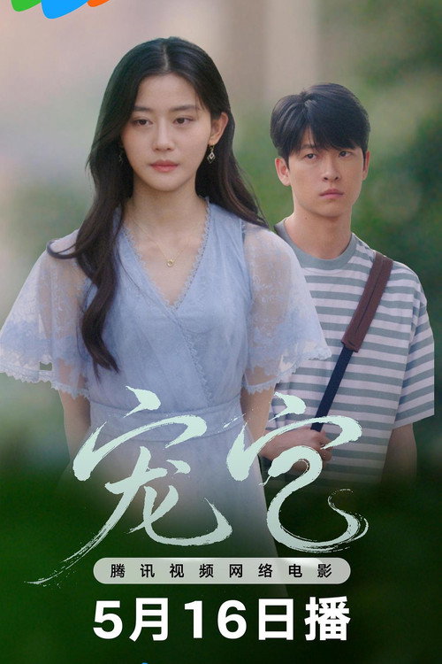 Póster de 宠它