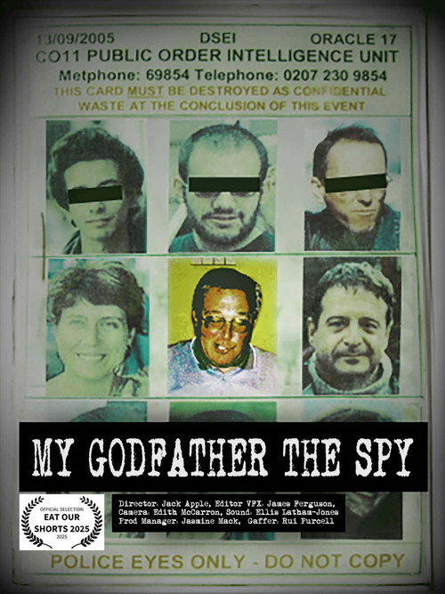 Póster de My Godfather