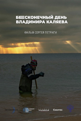 Póster de Бесконечный день Владимира Каляева