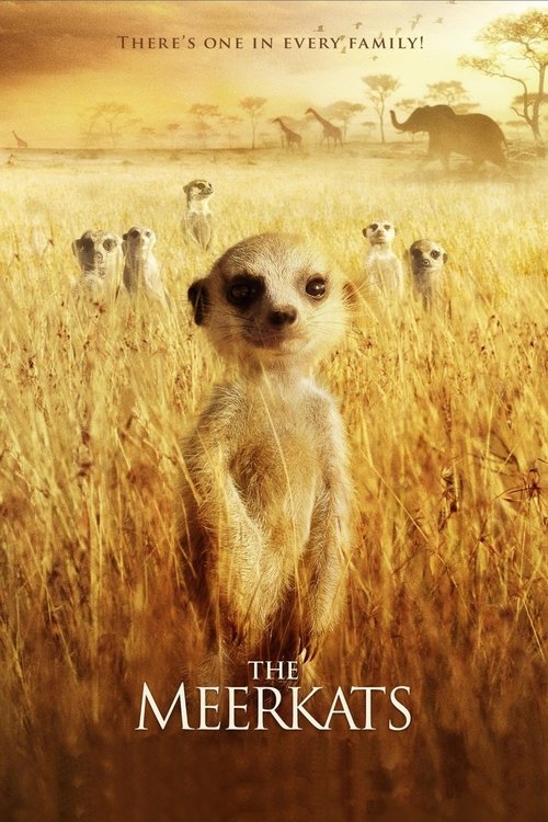 Póster de The Meerkats