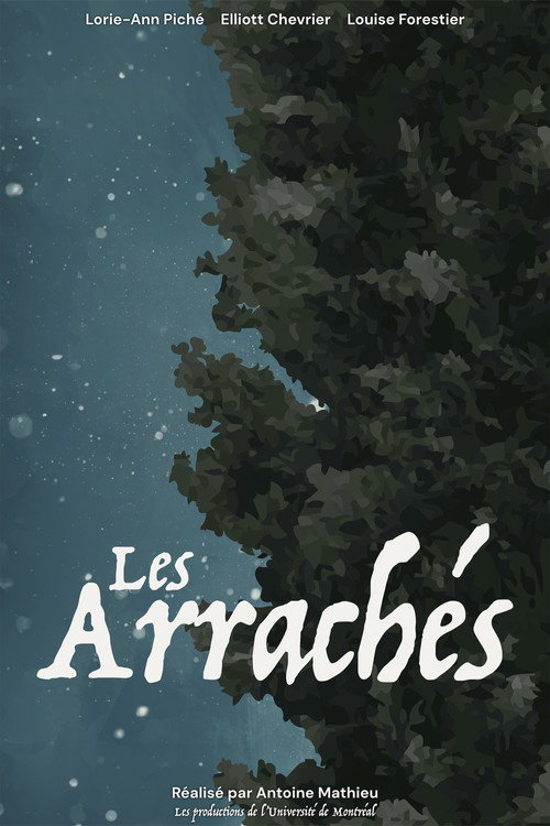 Póster de Les Arrachés