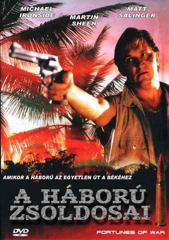 Póster de Fortunes of War