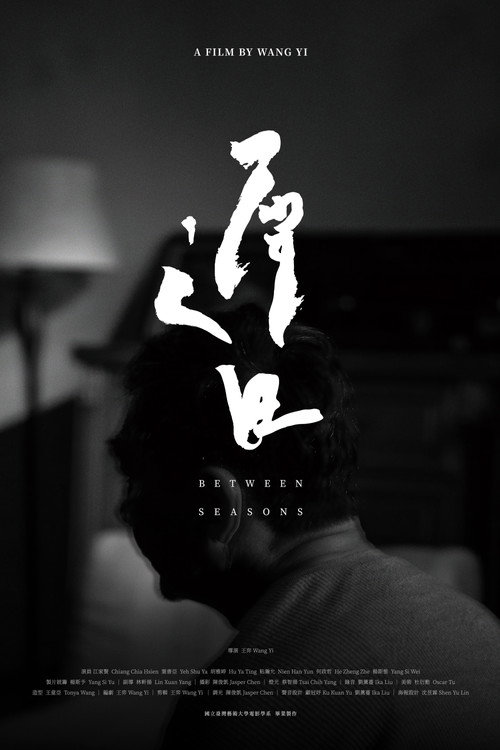 Póster de Between Seasons
