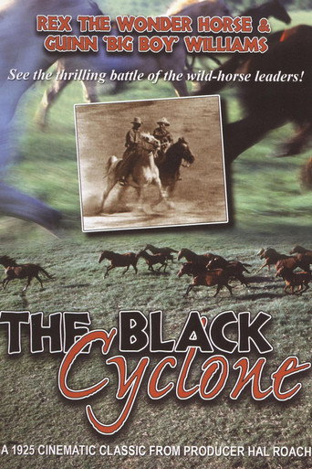 Póster de The Black Cyclone