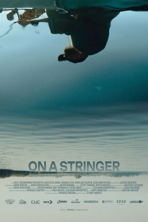 Póster de On a Stringer