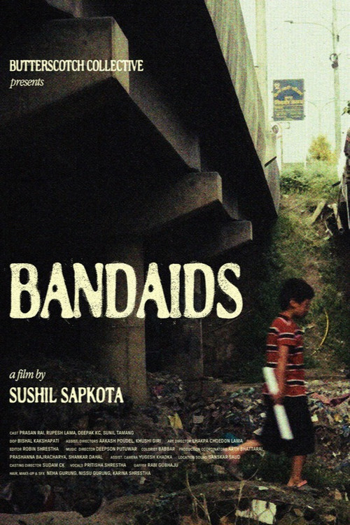 Póster de Bandaids