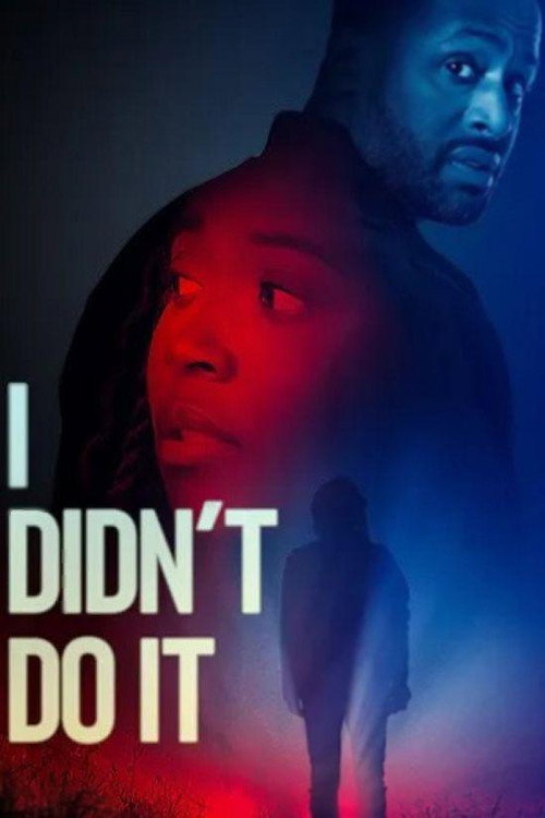 Póster de I Didn't Do It