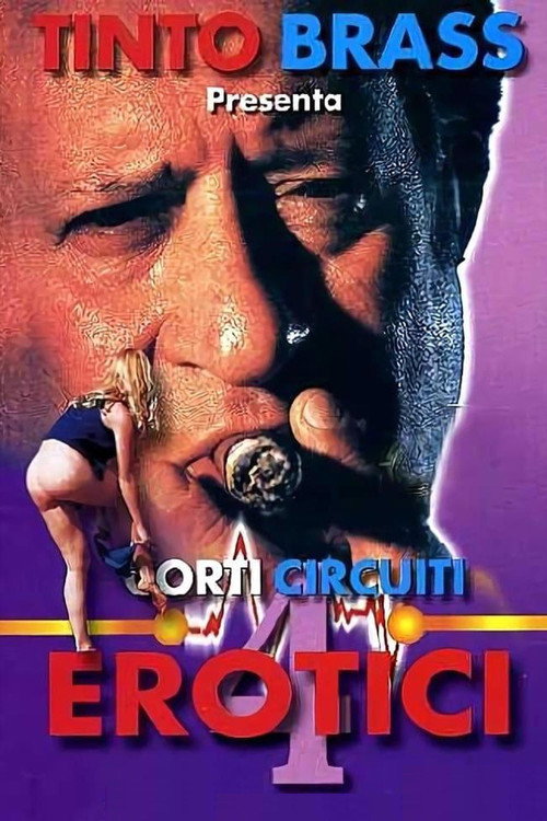 Póster de Corti circuiti erotici Vol.4