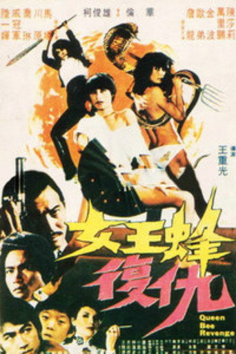 Póster de Nu wang feng fu qiao