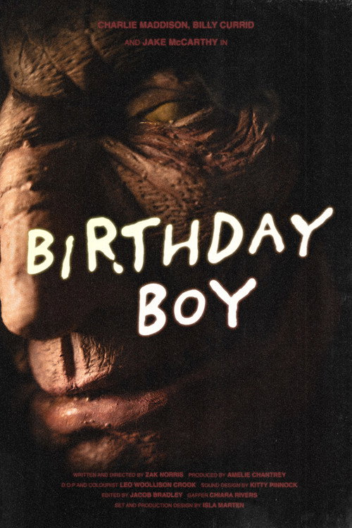 Póster de Birthday Boy