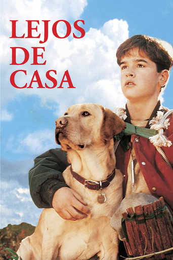 Póster de Far from Home: The Adventures of Yellow Dog