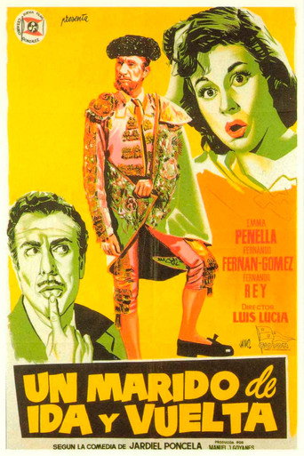 Póster de Un marido de ida y vuelta