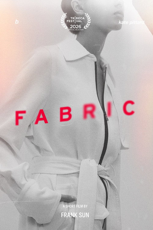 Póster de Fabric
