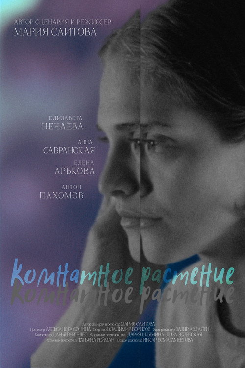 Póster de Комнатное растение