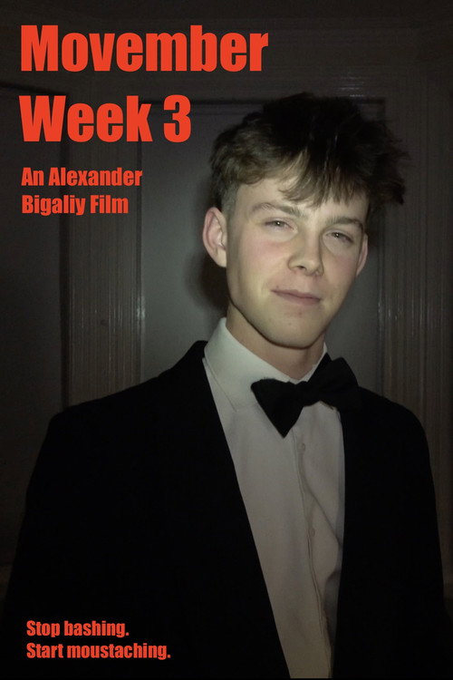 Póster de MOVEMBER: WEEK 3