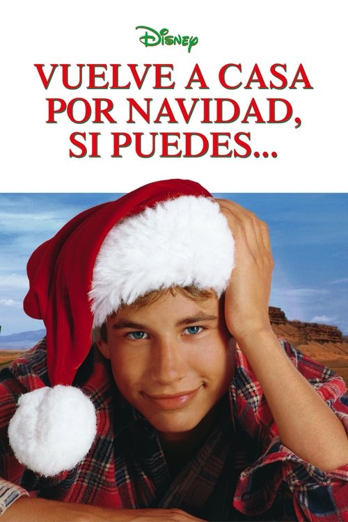 Póster de Estaré en casa para navidad