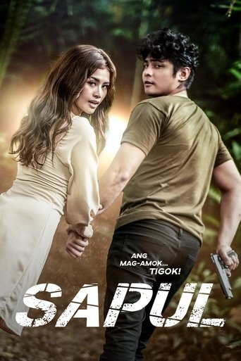 Póster de Sapul