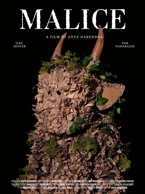 Póster de Malice