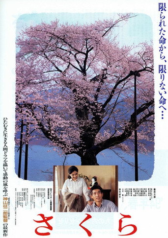 Póster de さくら