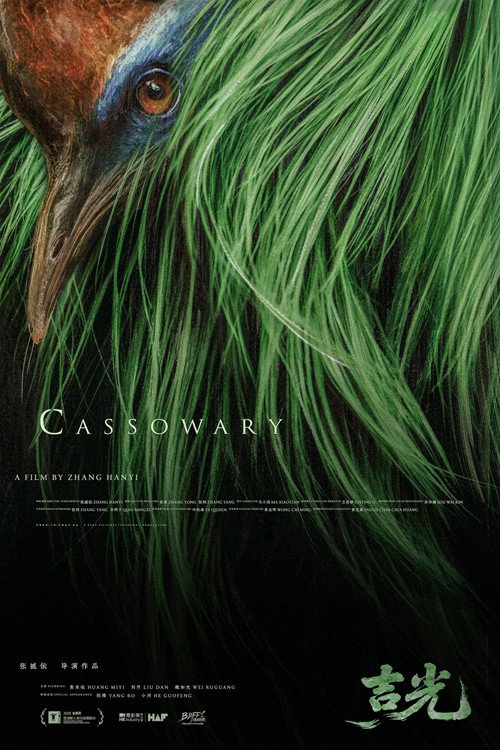 Póster de Cassowary