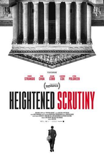 Póster de Heightened Scrutiny