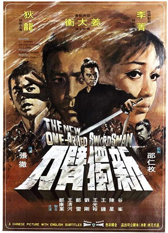 Póster de 新獨臂刀