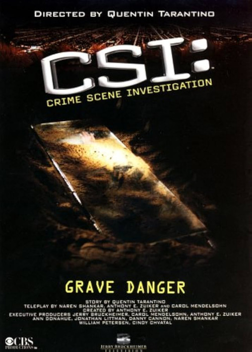 Póster de CSI: Crime Scene Investigation - Grave Danger