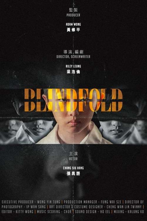 Póster de Blindfold