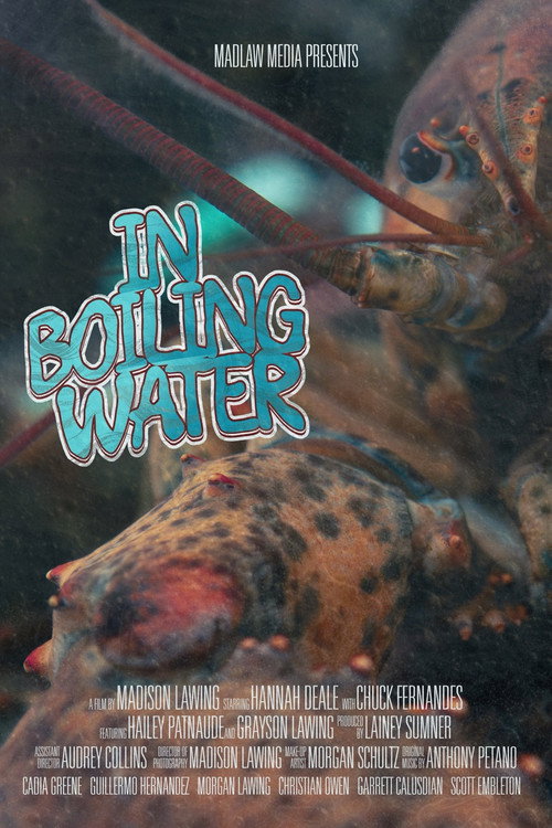 Póster de In Boiling Water