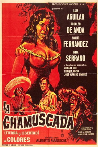 Póster de La Chamuscada - Tierra Y Libertad