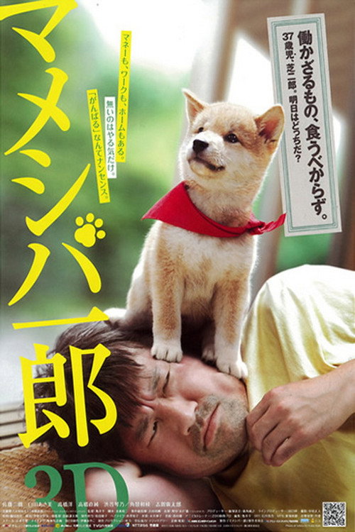 Póster de Mameshiba Ichiro 3D