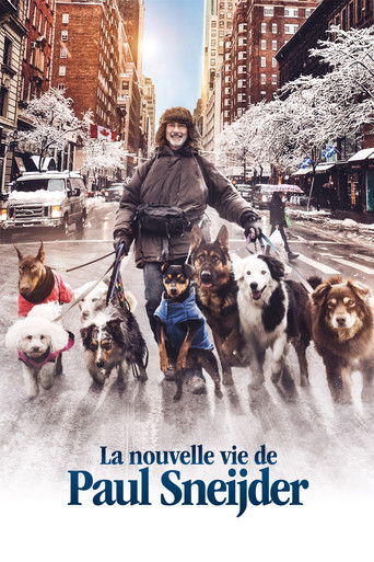 Póster de La Nouvelle Vie de Paul Sneijder