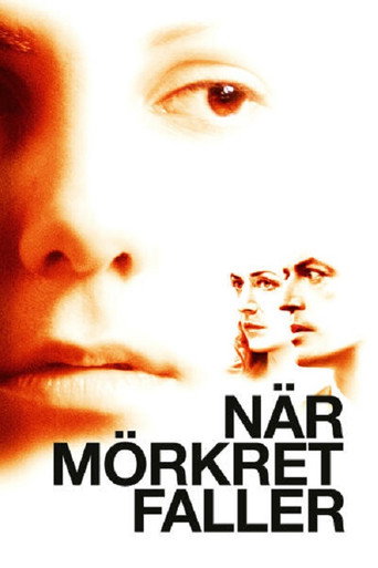 Póster de När mörkret faller