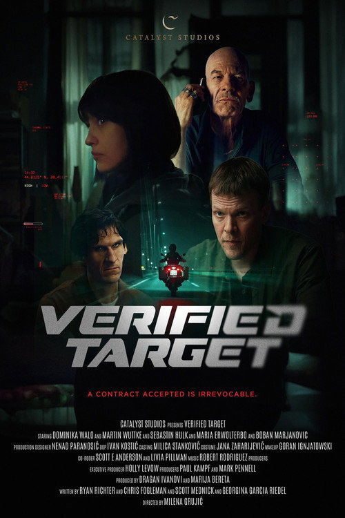 Póster de Verified Target