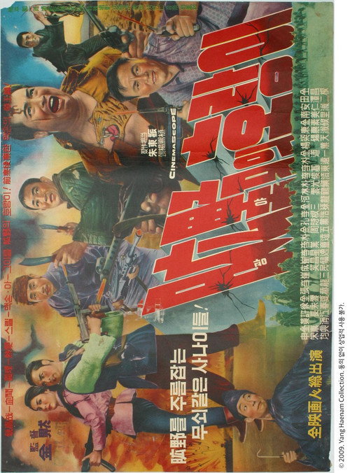 Póster de 광야의 호랑이