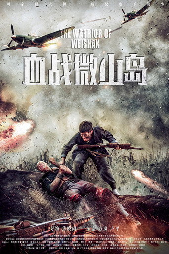 Póster de 血战微山岛
