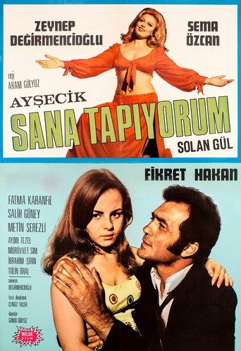 Póster de Sana Tapıyorum