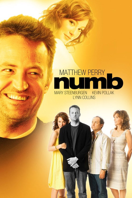 Póster de Numb