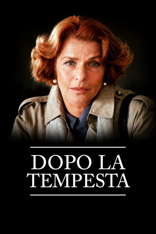 Póster de Dopo la tempesta