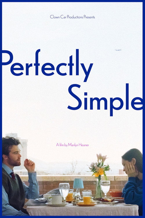 Póster de Perfectly Simple