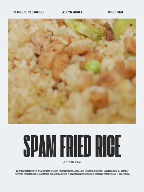 Póster de Spam Fried Rice