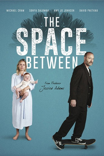 Póster de The Space Between